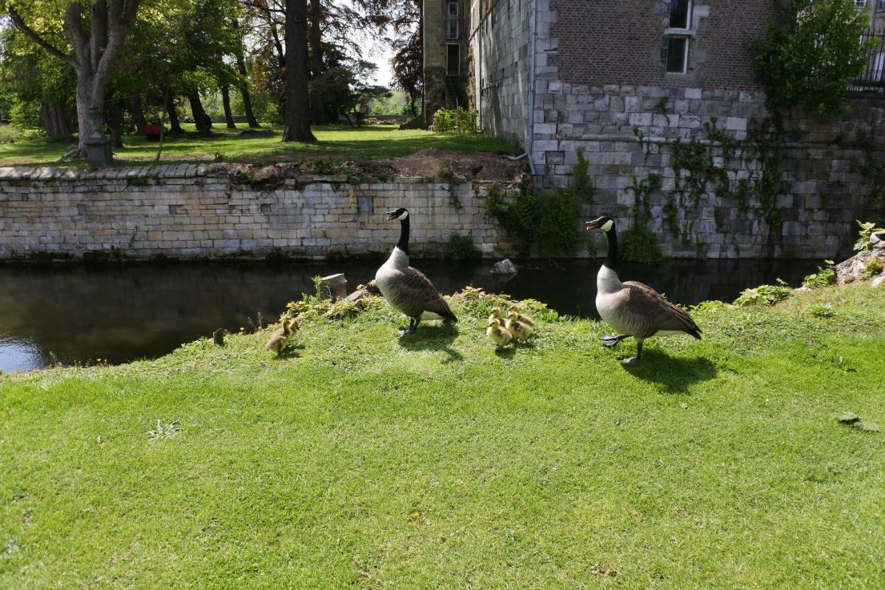 B & B Kasteelhoeve Borgharen - Maastricht Esterno foto